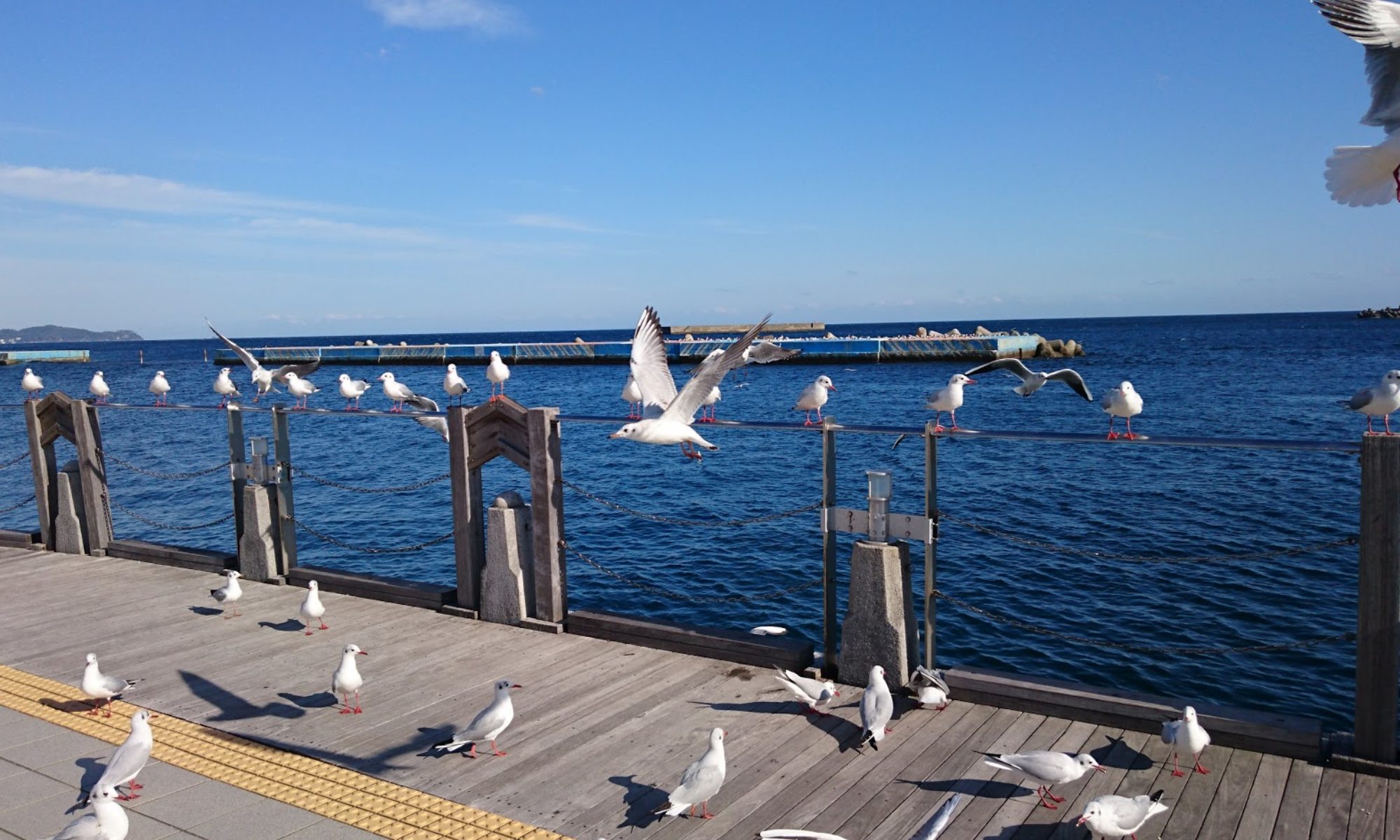 蒼史のゆるーく起業